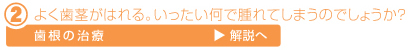 歯根の治療解説へ